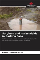 Gisèle TAPSOBA-MARE - Sorghum and maize yields in Burkina Faso