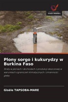 Gisèle TAPSOBA-MARE - Plony sorgo i kukurydzy w Burkina Faso