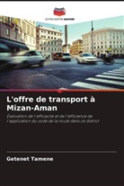 Getenet Tamene - L'offre de transport à Mizan-Aman