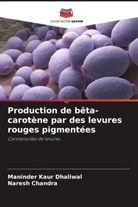 Naresh Chandra, Maninder  Kaur Dhaliwal, Maninder Kaur Dhaliwal - Production de bêta-carotène par des levures rouges pigmentées