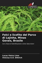 Vinícius A. O. Dittrich, Vinícius A.O. Dittrich, Lucas Vieira Lima - Felci e licofite del Parco di Lajinha, Minas Gerais, Brasile