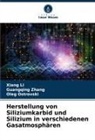 Xiang Li, Oleg Ostrovski, Guangqing Zhang - Herstellung von Siliziumkarbid und Silizium in verschiedenen Gasatmosphären