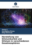 Xiang Li, Oleg Ostrovski, Guangqing Zhang - Herstellung von Siliziumkarbid und Silizium in verschiedenen Gasatmosphären