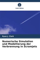 Ryan J Clark, Ryan J. Clark - Numerische Simulation und Modellierung der Verbrennung in Scramjets
