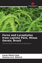 Vinícius A. O. Dittrich, Vinícius A.O. Dittrich, Lucas Vieira Lima - Ferns and Lycophytes from Lajinha Park, Minas Gerais, Brazil