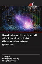 Xiang Li, Oleg Ostrovski, Guangqing Zhang - Produzione di carburo di silicio e di silicio in diverse atmosfere gassose