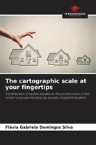 Flávia Gabriela Domingos Silva - The cartographic scale at your fingertips