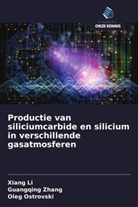 Xiang Li, Oleg Ostrovski, Guangqing Zhang - Productie van siliciumcarbide en silicium in verschillende gasatmosferen