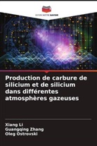 Xiang Li, Oleg Ostrovski, Guangqing Zhang - Production de carbure de silicium et de silicium dans différentes atmosphères gazeuses