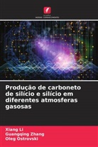 Xiang Li, Oleg Ostrovski, Guangqing Zhang - Produção de carboneto de silício e silício em diferentes atmosferas gasosas