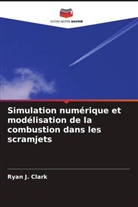 Ryan J. Clark - Simulation numérique et modélisation de la combustion dans les scramjets