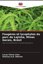 Vinícius A. O. Dittrich, Vinícius A.O. Dittrich, Lucas Vieira Lima - Fougères et lycophytes du parc de Lajinha, Minas Gerais, Brésil