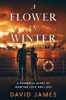 David James - A Flower in Winter