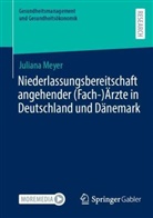 Juliana Meyer - Niederlassungsbereitschaft angehender (Fach-)Ärzte in Deutschland und Dänemark