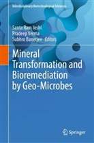 Subhro Banerjee, Santa Ram Joshi, Pradeep Verma - Mineral Transformation and Bioremediation by Geo-Microbes