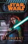Troy Denning - Star Wars Legacy of the Force 3