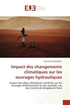 Nouhoum COULIBALY - Impact des changements climatiques sur les ouvrages hydrauliques