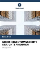 Liliia Orel - NICHT-EIGENTUMSRECHTE DER UNTERNEHMEN