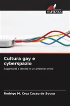 Rodrigo M. Cruz Cacau de Sousa - Cultura gay e cyberspazio