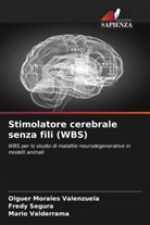 Olguer Morales Valenzuela, Fredy Segura, Mario Valderrama - Stimolatore cerebrale senza fili (WBS)