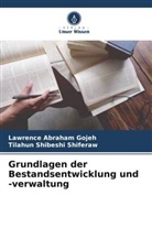 Lawrence Abraham Gojeh, Tilahun Shibeshi Shiferaw - Grundlagen der Bestandsentwicklung und -verwaltung