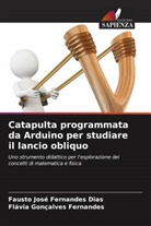 Fausto José Fernandes Dias, Flávia Gonçalves Fernandes - Catapulta programmata da Arduino per studiare il lancio obliquo