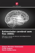 Olguer Morales Valenzuela, Fredy Segura, Mario Valderrama - Estimulador cerebral sem fios (WBS)