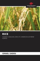 Ismael Sadou - RICE