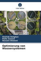 Shahide Dehghan, Hossein Gholami, Elahe Zamani - Optimierung von Wassersystemen