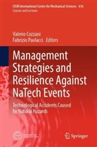 Valerio Cozzani, Paolacci, Fabrizio Paolacci - Management Strategies and Resilience Against NaTech Events
