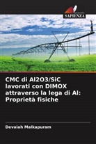 Devaiah Malkapuram - CMC di Al2O3/SiC lavorati con DIMOX attraverso la lega di Al: Proprietà fisiche