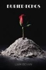 Liam Bevan - Buried Echoes