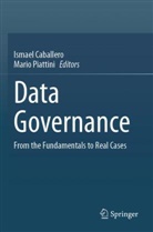 Ismael Caballero, Mario Piattini - Data Governance