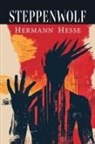 Hermann Hesse - Steppenwolf