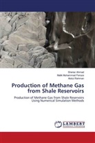 Sheraz Ahmad, Malik Muhammad Feroze, Abdul Rehman - Production of Methane Gas from Shale Reservoirs