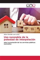 Wilver Oswaldo León Lemus - Uso razonable de la potestad de interpelación