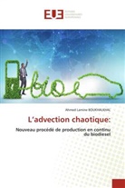 Ahmed Lamine BOUKHALKHAL - L'advection chaotique: