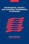 Zoltan Antal-Mokos, Antal-Mokos Zoltan - Privatisation, Politics, and Economic Performance in Hungary
