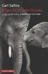 Carl Safina - Mentes maravillosas : lo que piensan y sienten los animales