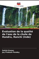 Satish Kumar, Jay Prakash Pandey - Évaluation de la qualité de l'eau de la chute de Hundru, Ranchi (Inde)