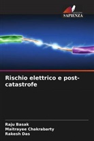 Raju Basak, Maitrayee Chakrabarty, Rakesh Das - Rischio elettrico e post-catastrofe