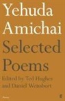 Yehuda Amichai, Ted Hughes, Daniel Weissbort - Yehuda Amichai Selected Poems