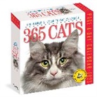 Workman Calendars - 365 Cats Calender 2023