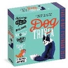 Workman Calendars - Dog Trivia Calendar 2023