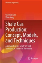 Chaohua Guo, Zhao Yang - Shale Gas Production: Concept, Models, and Techniques