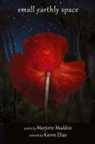 Marjorie Maddox - Small Earthly Space