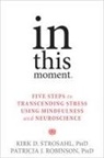 Patricia J. Robinson, Kirk D Strosahl, Kirk D. Strosahl, Kirk D./ Robinson Strosahl - In This Moment