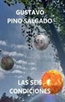 Gustavo Pino Salgado - Las seis condiciones