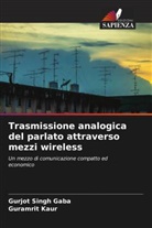 Gurjot Singh Gaba, Guramrit Kaur - Trasmissione analogica del parlato attraverso mezzi wireless