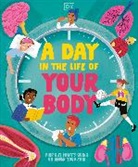 DK - A Day in the Life of Your Body